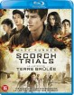 Maze Runner: The Scorch Trials (2015) (NL Import) Blu-ray