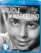 Miracle of Marcelino (Region A - US Import ohne dt. Ton) Blu-ray