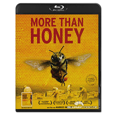 More-than-Honey-CH.jpg