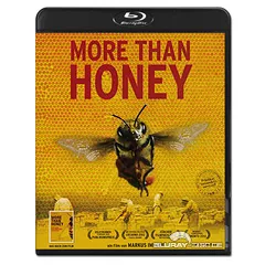More-than-Honey-CH.webp