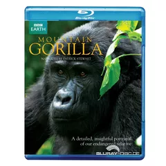Mountain-Gorilla-UK.webp