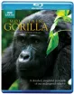 Mountain Gorilla (UK Import ohne dt. Ton) Blu-ray