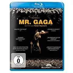 Mr-Gaga-DE.webp