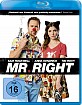 Mr-Right-2015-DE_klein.jpg