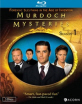 Murdoch Mysteries - Season 1 (Region A - US Import ohne dt. Ton) Blu-ray