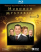 Murdoch Mysteries - Season 3 (Region A - US Import ohne dt. Ton) Blu-ray
