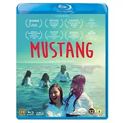 Mustang-2015-DK-Import.webp