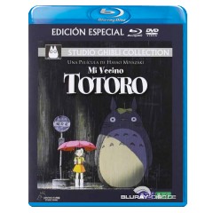 My-Neighbor-Totoro-ES-Import.jpg