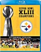 NFL-Super-Bowl-XLIII-Champions-Pittsburgh-Steelers-US-ODT_klein.jpg