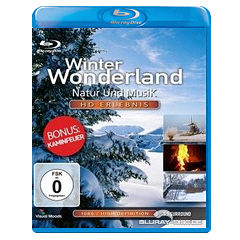 Natur-und-Musik-Winter-Wonderland.jpg