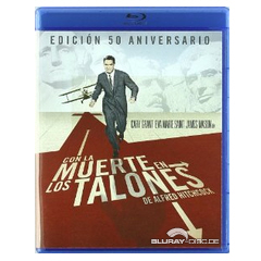 North-by-Northwest-ES.webp