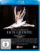 Nureyev - Don Quixote (Vaziev) Blu-ray