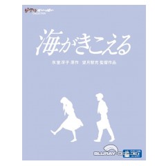 Ocean-waves-Digibook-JP-Import.webp