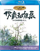 Oga Kazuo Exhibition: The One Who Painted Totoro's Forest (JP Import ohne dt. Ton) Blu-ray