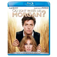 Ou-sont-passes-les-Morgan-FR.webp