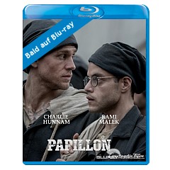 Papillon-2017-draft-DE.jpg Papillon-2017-draft-DE.jpg