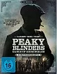 Peaky-Blinders-Gangs-of-Birmingham-Staffel-1-und-2-DE_klein.webp