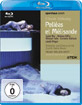 Debussy - Pelléas et Mélisande (Bechtolf) Blu-ray