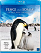 Pengi-und-Sommi-Die-neue-Reise-der-Pinguine-DE_klein.jpg