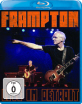 Peter-Frampton-Live-in-Detroit-DE_klein.jpg