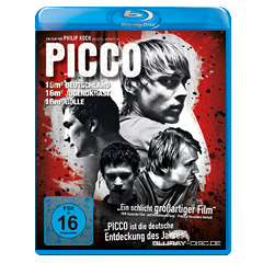 Picco-2010.webp