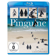 Pinguine.webp