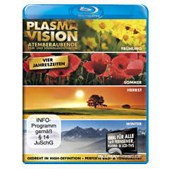 Plasma-Vision-Vier-Jahreszeiten.webp