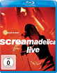 Primal Scream - Screamadelica Live Blu-ray