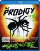 The Prodigy - Live: The World's on Fire (UK Import ohne dt. Ton) Blu-ray