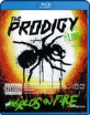 Prodigy-Worlds-on-Fire-UK_klein.jpg