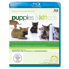 Puppies-and-Kittens.webp