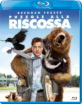 Puzzole alla riscossa (IT Import ohne dt. Ton) Blu-ray