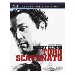 Raging-Bull-Digi-IT-Import.webp