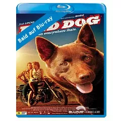 Red-Dog-Mein-treuer-Freund-CH.webp