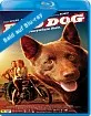 Red Dog - Mein treuer Freund (CH Import) Blu-ray