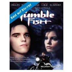 Rumble-Fish-SE.webp