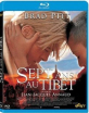 Sept ans au Tibet (FR Import ohne dt. Ton) Blu-ray