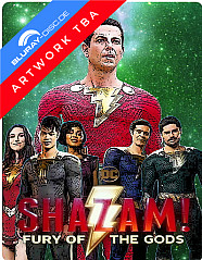 Shazam! - Fury of the Gods 4K (Limited Steelbook Edition) (4K UHD + Blu-ray) Blu-ray