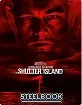 Shutter Island 4K - 10th Anniversary Steelbook (4K UHD + Blu-ray) (UK Import ohne dt. Ton) Blu-ray