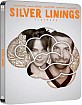 Silver Linings Playbook - Zavvi Exclusive Limited Edition Steelbook (UK Import ohne dt. Ton) Blu-ray