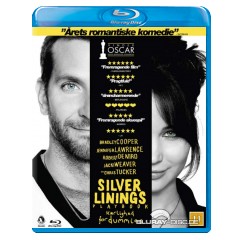 Silver-linings-playbook-DK-Import.jpg