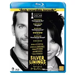 Silver-linings-playbook-DK-Import.webp