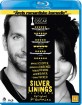 Silver Linings Playbook (DK Import ohne dt. Ton) Blu-ray