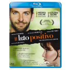 Silver-linings-playbook-IT-Import.webp