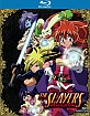 Slayers Revolution: Season 4 (Region A - US Import ohne dt. Ton) Blu-ray