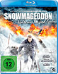 Snowmageddon - Hölle aus Eis und Feuer Blu-ray