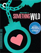 Something Wild - Criterion Collection (Region A - US Import ohne dt. Ton) Blu-ray
