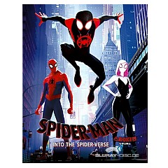 Spider-man-into-the-spider-verse-3D-Weet-Collection-Full-Slip-Steelbook-C-KR-Import.jpg