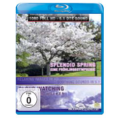 Splendid-Spring-Cloud-Watch.webp