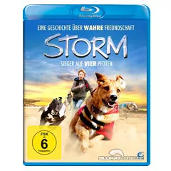 Storm-Sieger-auf-vier-Pfoten.webp